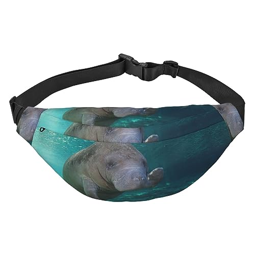 Niedliche Hippo Bauchtasche für Damen und Herren, wasserdichte Gürteltasche, modische Umhängetasche, Hüfttaschen, Pack für Reisen, Sport, Wandern, Schwarz, Einheitsgröße, Schwarz , Einheitsgröße von PEIXEN