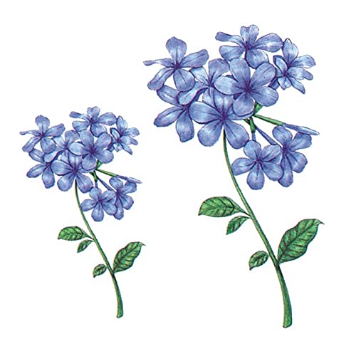 5 pcs Fake Tattoos Blaue Kugel Blume Temporäre Tätowierung Wasserdicht Dauerhafte Simulation Pflanze Tätowierung Weiblicher Kleiner Frischer Künstlerischer Aufkleber von PEKNUX