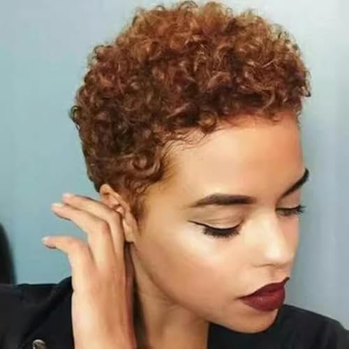 Europäische Und Amerikanische Explosive Kleine Lockige Perücke, Afrikanische Damen-Perücke Mit Kurzem Haar Und Brauner Kopfbedeckung von PEKNUX