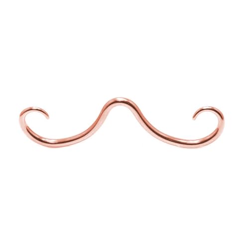 Septum Schnurrbart Nasenringe Edelstahl Ohrstecker Mode Creolen Piercing Schmuck für Männer und Frauen Schnurrbart Körperpiercing Zubehör Mode Einzigartig von PEPWE