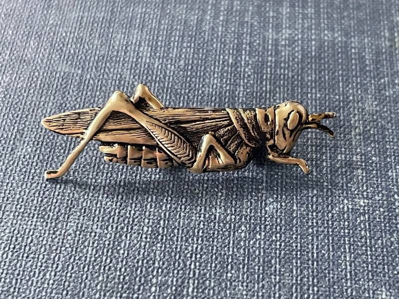 Messing Brosche Grashüpfer, Entomologen Geschenk, Rucksack Anstecker von PERCIVALandHUDSON