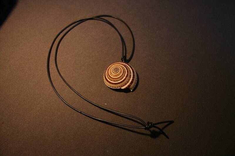 Schnecke Mit Kautschukband von PERLMUTTundMEHR