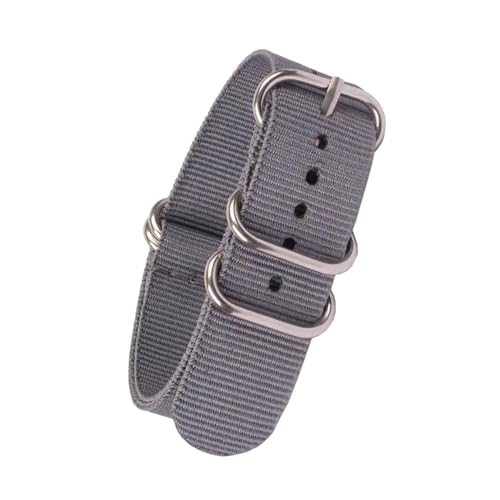 PEtbon 16mm/18mm/20mm/22mm/24mm silberne 5-Ring-Schnalle, Sport-Nylon-gewebte NATO-Armbänder von PEtbon