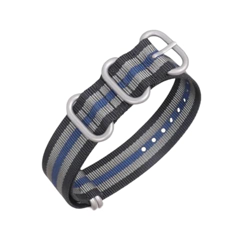 PEtbon 18/20/22/24mm robustes Edelstahl-5-Ring-Verschluss-Nylon-gewebtes Uhrenarmband-Zubehör von PEtbon