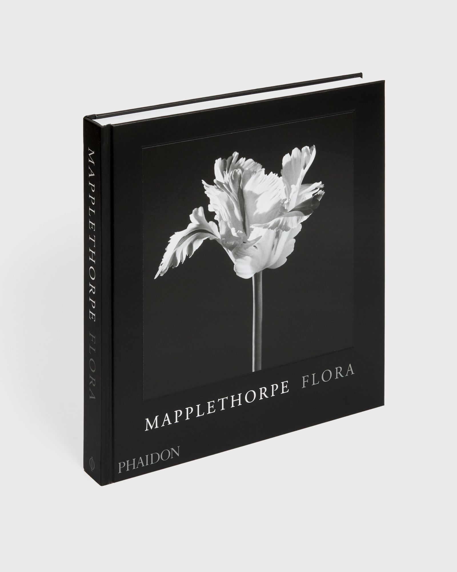 PHAIDON Robert Mapplethorpe men Art & Design multi in Größe:ONE SIZE PHAIDON Robert Mapplethorpe men Art & Design multi in Größe:ONE SIZE von PHAIDON