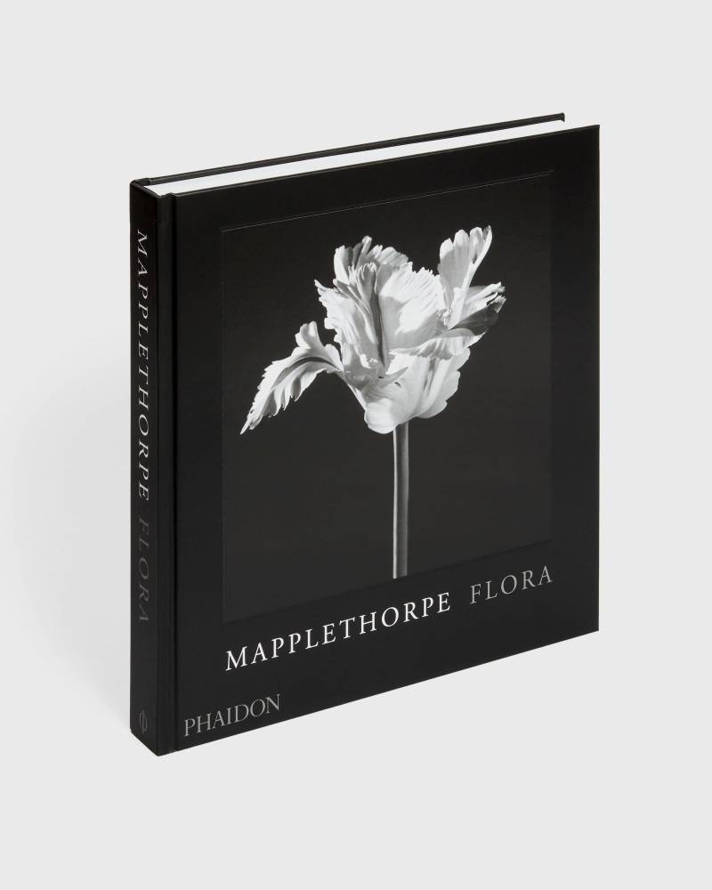 PHAIDON Robert Mapplethorpe men Art & Design multi in Größe:ONE SIZE von PHAIDON