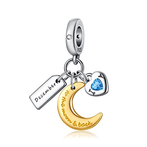 PHCLASY Charms Anhänger Mond Geburtsstein Bead Charms für Damen Geburtstag Charm Silber 925 Kompatibel mit Armbänder und Halskette,Dezember von PHCLASY