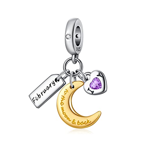 PHCLASY Charms Anhänger Mond Geburtsstein Bead Charms für Damen Geburtstag Charm Silber 925 Kompatibel mit Armbänder und Halskette,Februar von PHCLASY