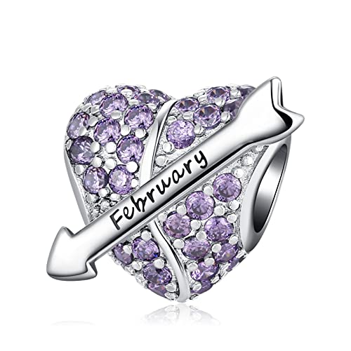 PHCLASY Charms Anhänger Pfeil Geburtsstein Bead Charms für Damen Geburtstag Charm Silber 925 Kompatibel mit Armbänder und Halskette,Februar von PHCLASY