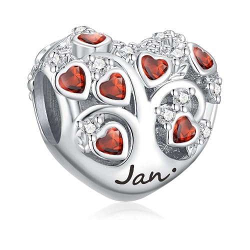 PHCLASY Januar Geburtsstein Charm Compatible with Pandora Armband Geburtstag für Damen PHCLASY Januar Geburtsstein Charm Compatible with Pandora Armband Geburtstag für Damen von PHCLASY
