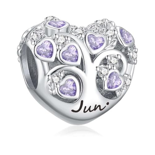PHCLASY Juni Geburtsstein Charm Compatible with Pandora Armband Geburtstag für Damen PHCLASY Juni Geburtsstein Charm Compatible with Pandora Armband Geburtstag für Damen von PHCLASY