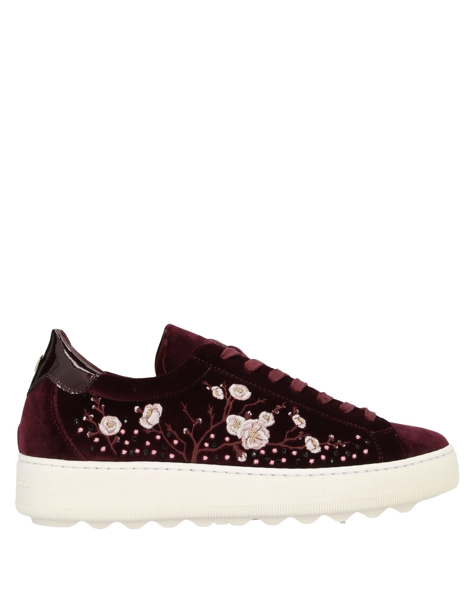 PHILIPPE MODEL Sneakers Damen Bordeaux von PHILIPPE MODEL