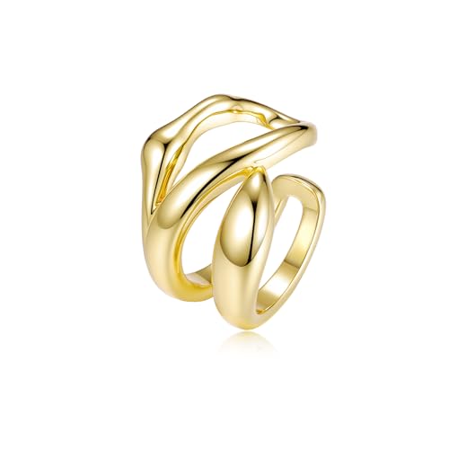 PHNIBIRD Ear cuff Ohrklemme Gold Unregelmäßig Geformte Fake Helix Non Piercing Ohrclips Einstellbar Ohrschmuck für Männer Damen von PHNIBIRD