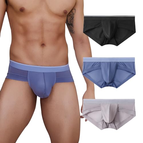 PHOLEEY Herren Slip Unterhosen Microfaser Unterwäsche Männer Slips mit ohne Eingriff Atmungsaktives Weich Unterhose 3per Pack Stretch Boxer Trunk,L von PHOLEEY