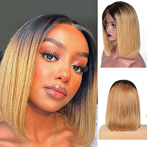 Perücken Haar Perücke Omber Bunte gerade kurze Bob Perücke 13 × 4 Lace Front Perücken Echthaar mit dunklen Wurzeln kompatibel mit schwarzen und weißen Frauen Party Cosplay oder Alltagskleidung Mode Pe von PHONME