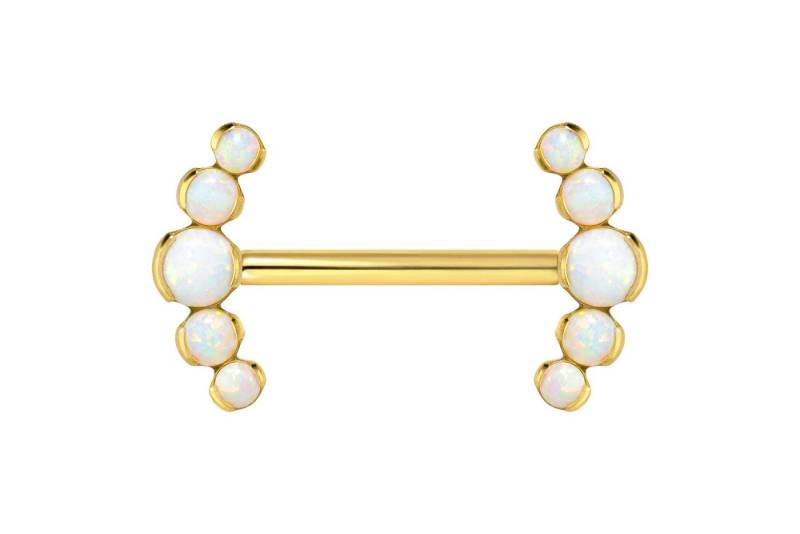 PIERCINGLINE Nasenpiercing Titan Barbell mit Push Fit 5 SYNTHETISCHE OPALE (Barbells / 1 Stk) von PIERCINGLINE