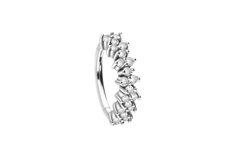 PIERCINGLINE Piercing-Set Chirurgenstahl Segmentring Clicker EINGEFASSTE KRISTALLE (Clicker / 1 Stk) von PIERCINGLINE