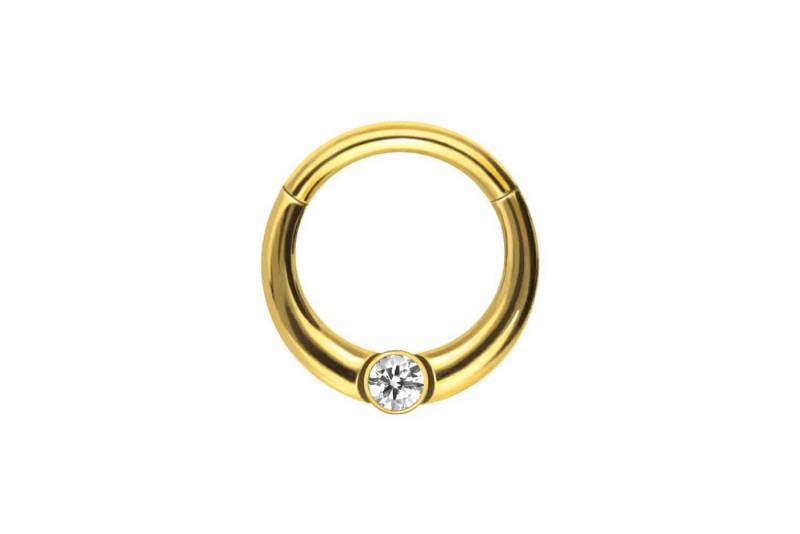 PIERCINGLINE Nasenpiercing Chirurgenstahl Segmentring Clicker KRISTALL Ohrpiercing Septum Nase (Clicker, 1-tlg), Ohrpiercing für Conch, Helix, Tragus, Daith, Lobe von PIERCINGLINE