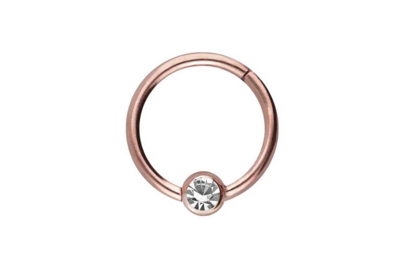 PIERCINGLINE Piercing-Set Chirurgenstahl Segmentring Clicker KRISTALL (Clicker / 1 Stk) von PIERCINGLINE