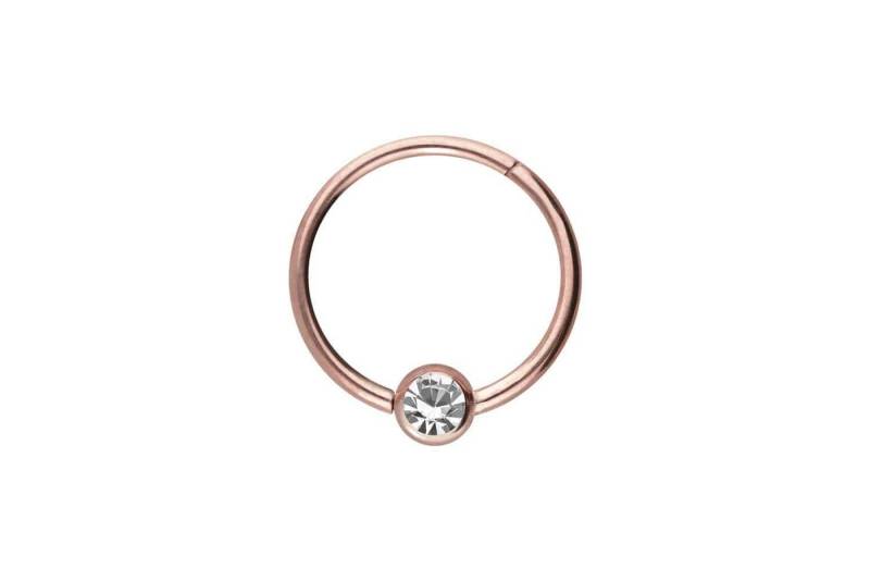 PIERCINGLINE Piercing-Set Chirurgenstahl Segmentring Clicker KRISTALL (Clicker / 1 Stk) von PIERCINGLINE