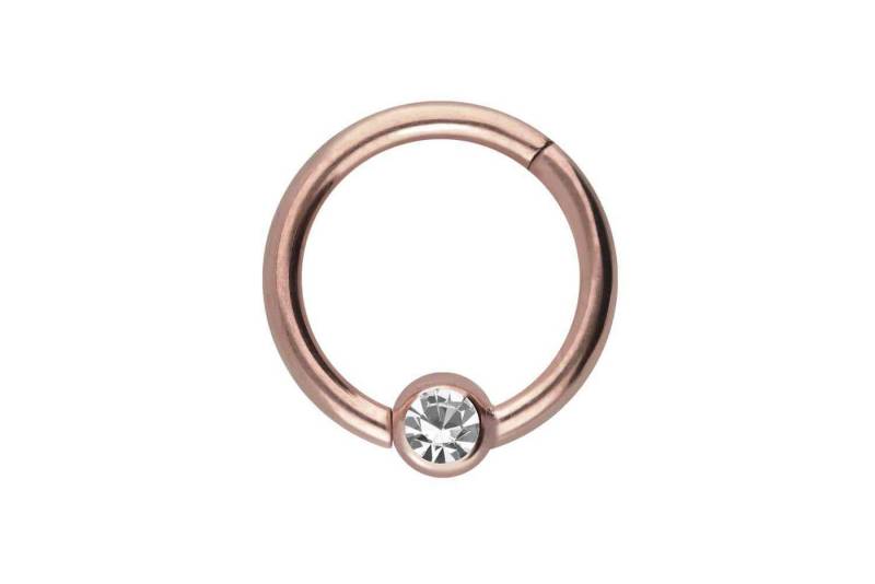 PIERCINGLINE Piercing-Set Chirurgenstahl Segmentring Clicker KRISTALL (Clicker / 1 Stk) von PIERCINGLINE