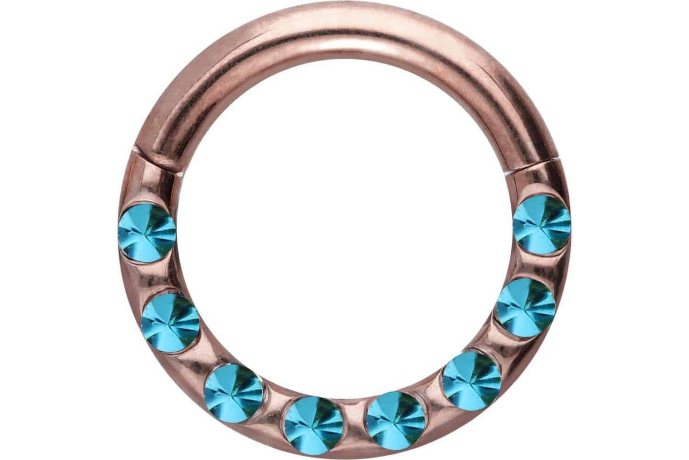 PIERCINGLINE Piercing-Set Chirurgenstahl Segmentring Clicker KRISTALLE + EPOXY (Clicker / 1 Stk) von PIERCINGLINE