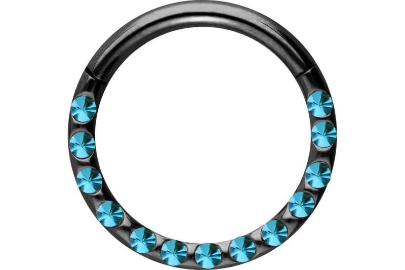 PIERCINGLINE Piercing-Set Chirurgenstahl Segmentring Clicker KRISTALLE + EPOXY (Clicker / 1 Stk) von PIERCINGLINE