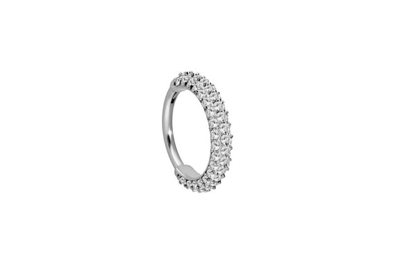 PIERCINGLINE Piercing-Set Chirurgenstahl Segmentring Clicker KRISTALLRAND (Clicker / 1 Stk) von PIERCINGLINE