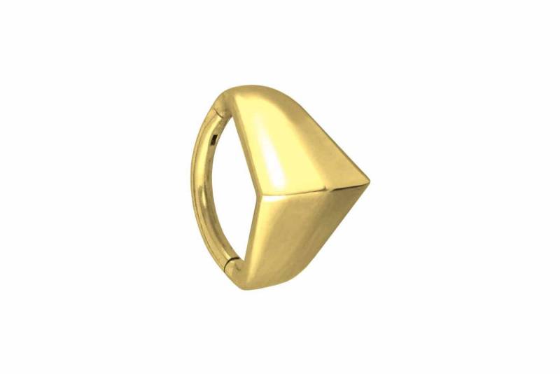 PIERCINGLINE Piercing-Set Chirurgenstahl Segmentring Clicker SCHILD (Clicker / 1 Stk) von PIERCINGLINE