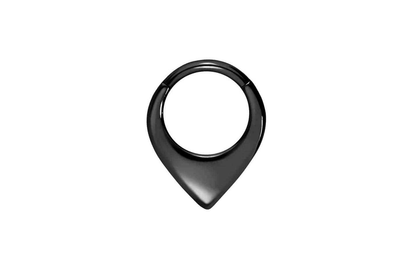 PIERCINGLINE Nasenpiercing Chirurgenstahl Segmentring Clicker SPITZ (Clicker / 1 Stk) von PIERCINGLINE
