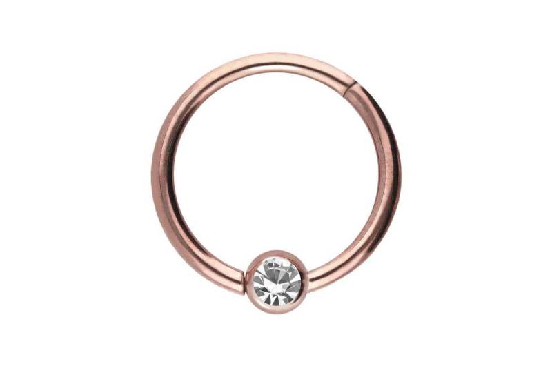 PIERCINGLINE Piercing-Set Titan Segmentring Clicker KRISTALL (Clicker / 1 Stk) von PIERCINGLINE