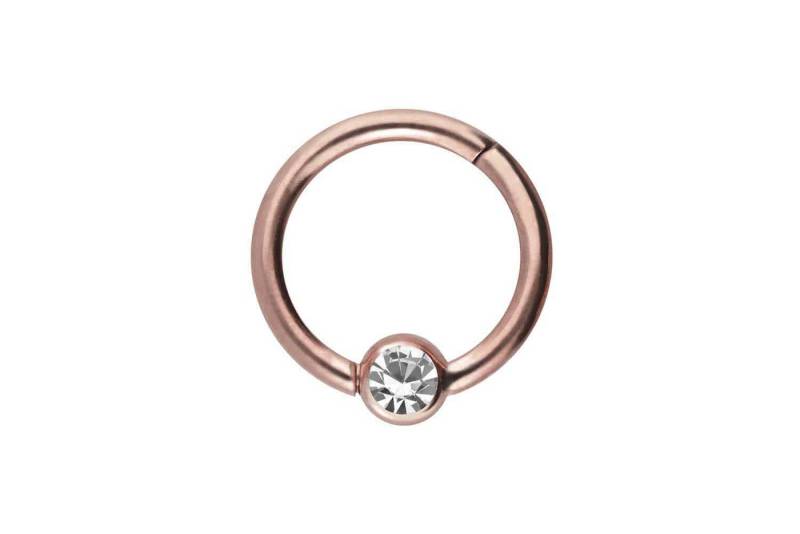 PIERCINGLINE Piercing-Set Titan Segmentring Clicker KRISTALL (Clicker / 1 Stk) von PIERCINGLINE