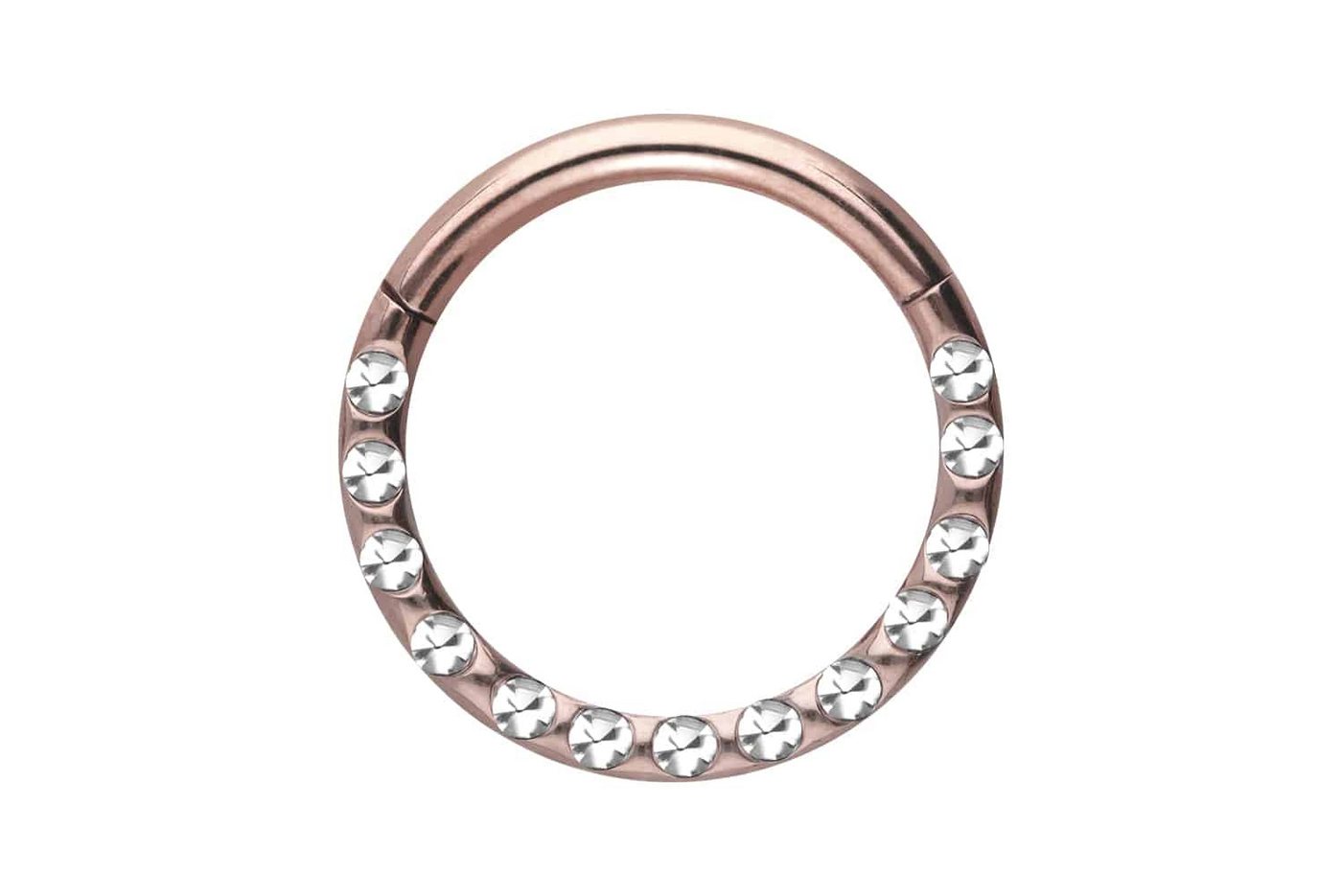PIERCINGLINE Piercing-Set Titan Segmentring Clicker KRISTALLE + EPOXY (Clicker / 1 Stk) von PIERCINGLINE