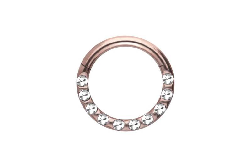 PIERCINGLINE Piercing-Set Titan Segmentring Clicker KRISTALLE + EPOXY (Clicker / 1 Stk) von PIERCINGLINE