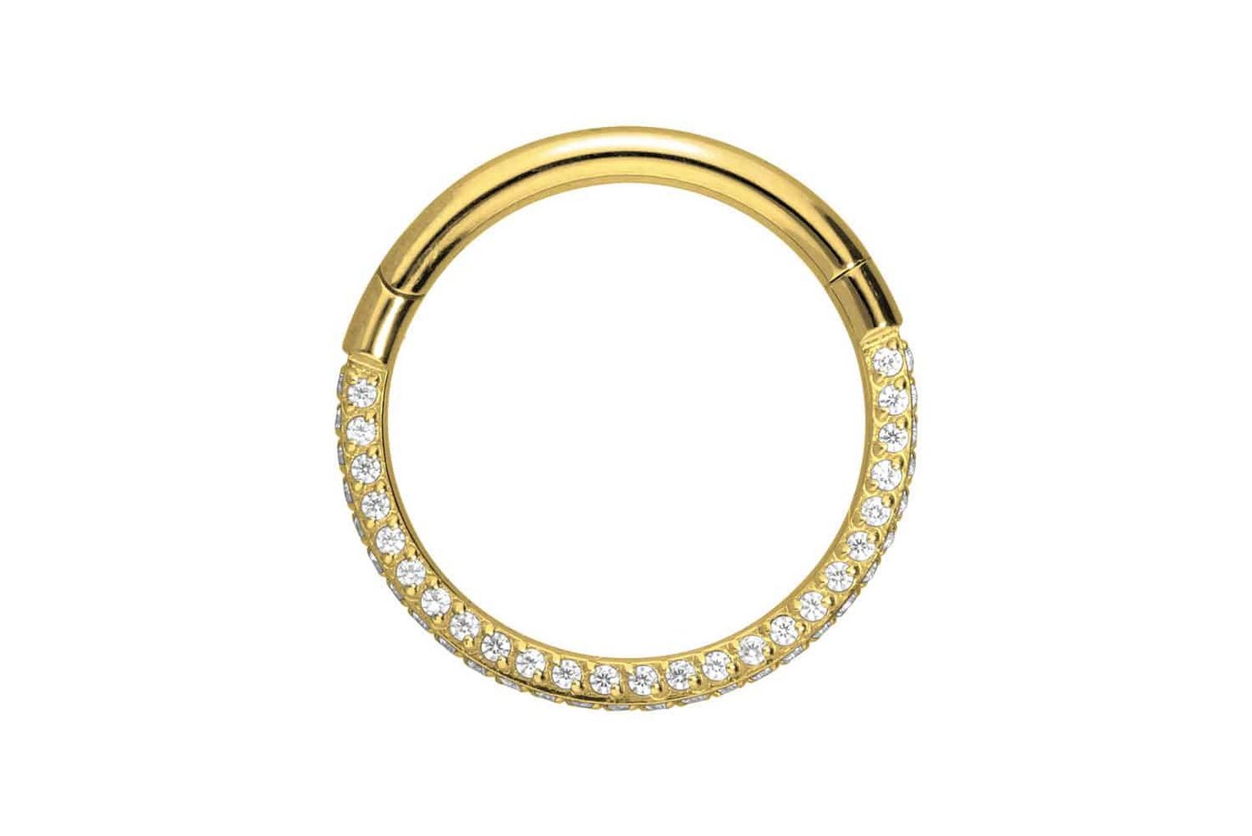 PIERCINGLINE Piercing-Set Titan Segmentring Clicker KRISTALLRAND (Clicker / 1 Stk) von PIERCINGLINE