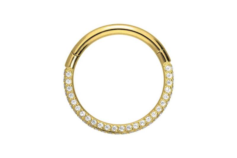 PIERCINGLINE Piercing-Set Titan Segmentring Clicker KRISTALLRAND (Clicker / 1 Stk) von PIERCINGLINE