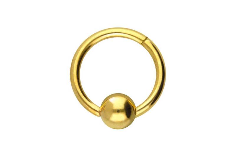 PIERCINGLINE Piercing-Set Titan Segmentring Clicker KUGEL (Clicker / 1 Stk) von PIERCINGLINE