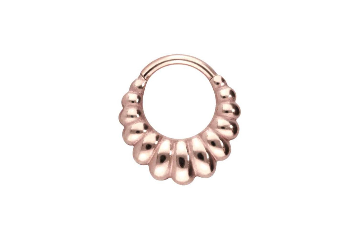 PIERCINGLINE Piercing-Set Titan Segmentring Clicker MUSCHEL-DESIGN (Clicker / 1 Stk) von PIERCINGLINE