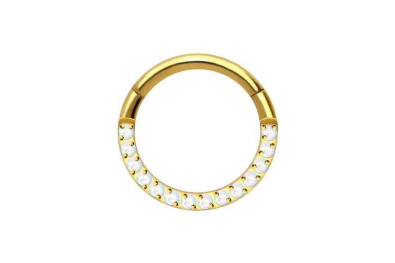 PIERCINGLINE Piercing-Set Titan Segmentring Clicker SYNTHETISCHE OPALE (Clicker / 1 Stk) von PIERCINGLINE