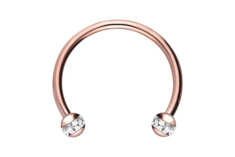 PIERCINGLINE Nasenpiercing Chirurgenstahl Hufeisenring EPOXY-RING-KUGELN (Hufeisen-Ringe, 1-tlg) von PIERCINGLINE