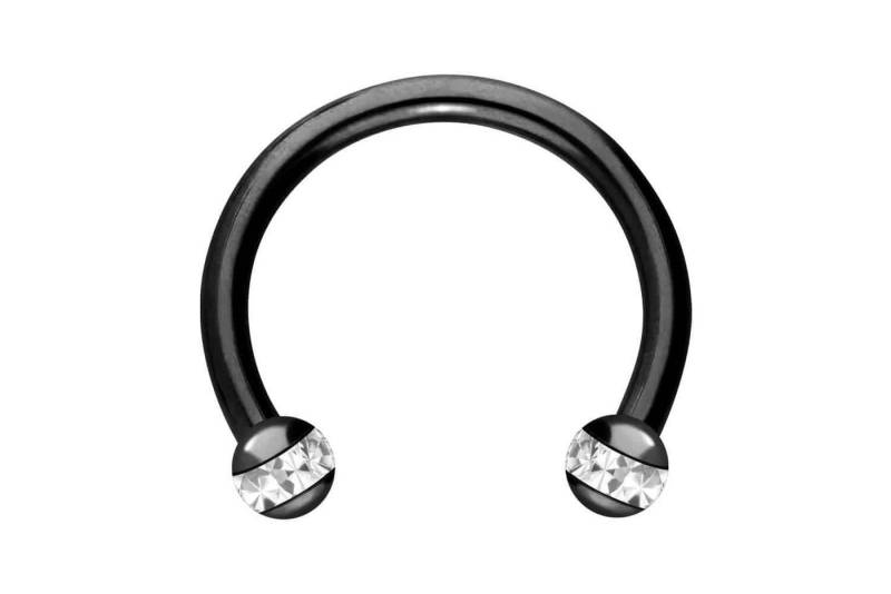 PIERCINGLINE Nasenpiercing Chirurgenstahl Hufeisenring EPOXY-RING-KUGELN (Hufeisen-Ringe, 1-tlg) von PIERCINGLINE