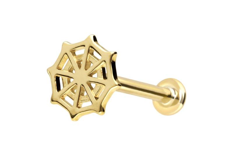 PIERCINGLINE Piercing-Set 14 Karat Gold Labret mit Push Fit SPINNENNETZ (Labrets) von PIERCINGLINE