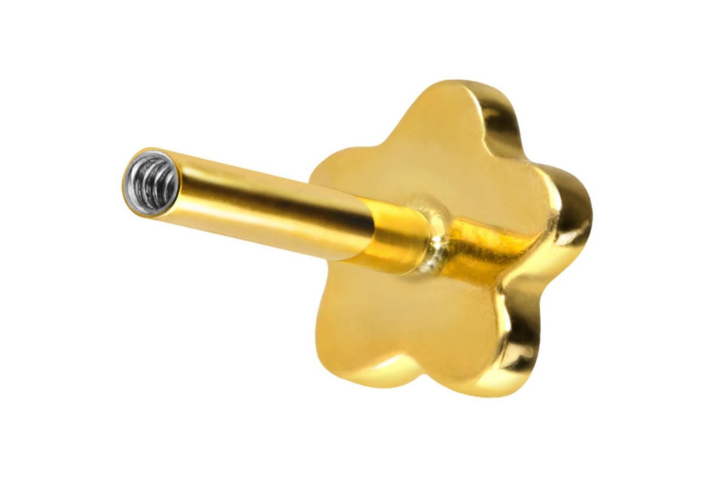 PIERCINGLINE Piercing-Set Titan Labret mit Innengewinde ohne Kugel BLUME (Labrets / 1 Stk) von PIERCINGLINE