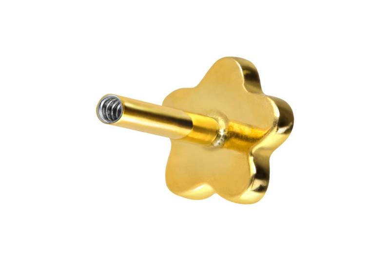 PIERCINGLINE Piercing-Set Titan Labret mit Innengewinde ohne Kugel BLUME (Labrets, 1-tlg) von PIERCINGLINE