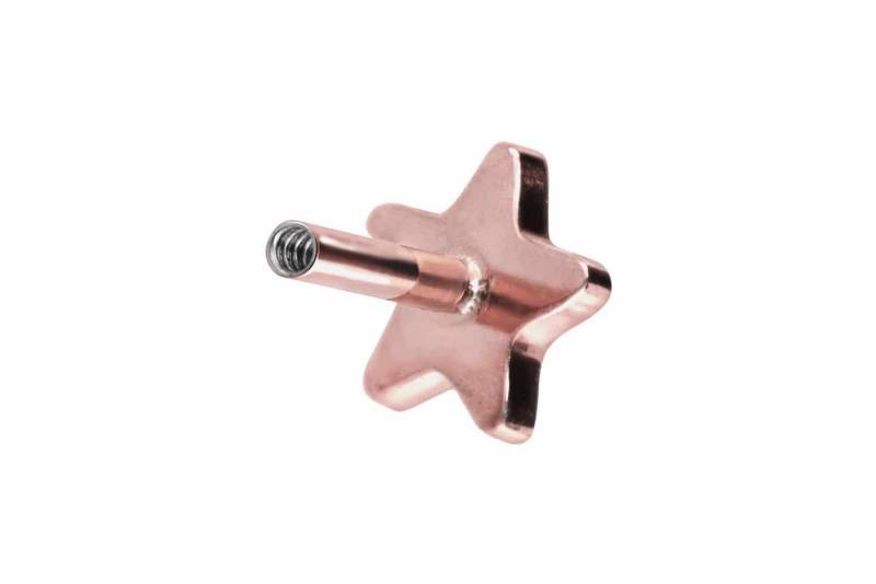 PIERCINGLINE Piercing-Set Titan Labret mit Innengewinde ohne Kugel STERN (Labrets / 1 Stk) von PIERCINGLINE