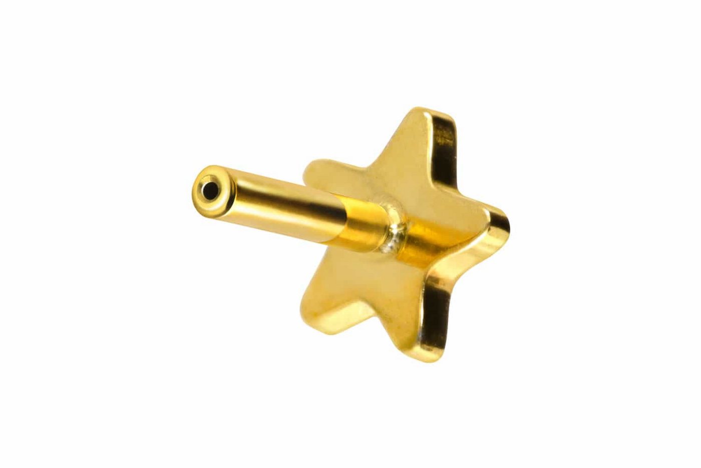PIERCINGLINE Piercing-Set Titan Labret mit Push Fit ohne Kugel STERN (Labrets / 1 Stk) von PIERCINGLINE