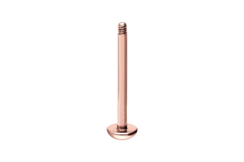 PIERCINGLINE Piercing-Set Titan Labret ohne Kugel ABGERUNDETE PLATTE (Labrets / 1 Stk) von PIERCINGLINE