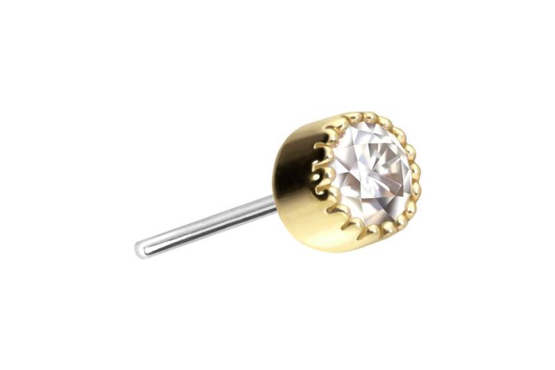 PIERCINGLINE Piercing-Set 14 Karat Gold Aufsatz mit Titan Push Pin MOISSANIT-DISC (Push Pins) von PIERCINGLINE