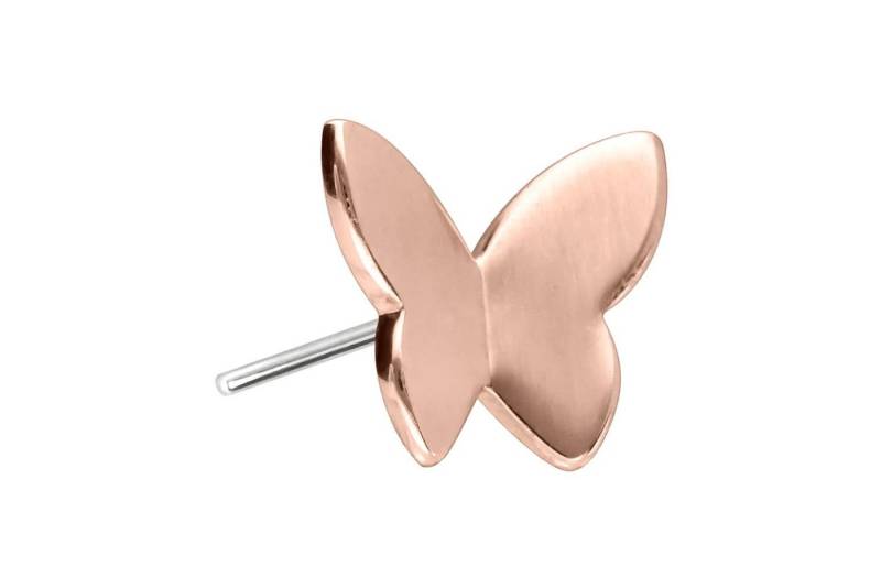 PIERCINGLINE Piercing-Set 14 Karat Gold Aufsatz mit Titan Push Pin SCHMETTERLING (Push Pins) von PIERCINGLINE