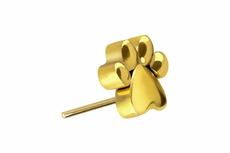 PIERCINGLINE Piercing-Set Titan Aufsatz mit Push Pin PFOTE (Push Pins / 1 Stk) von PIERCINGLINE